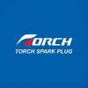 تصویر تورچ TORCH